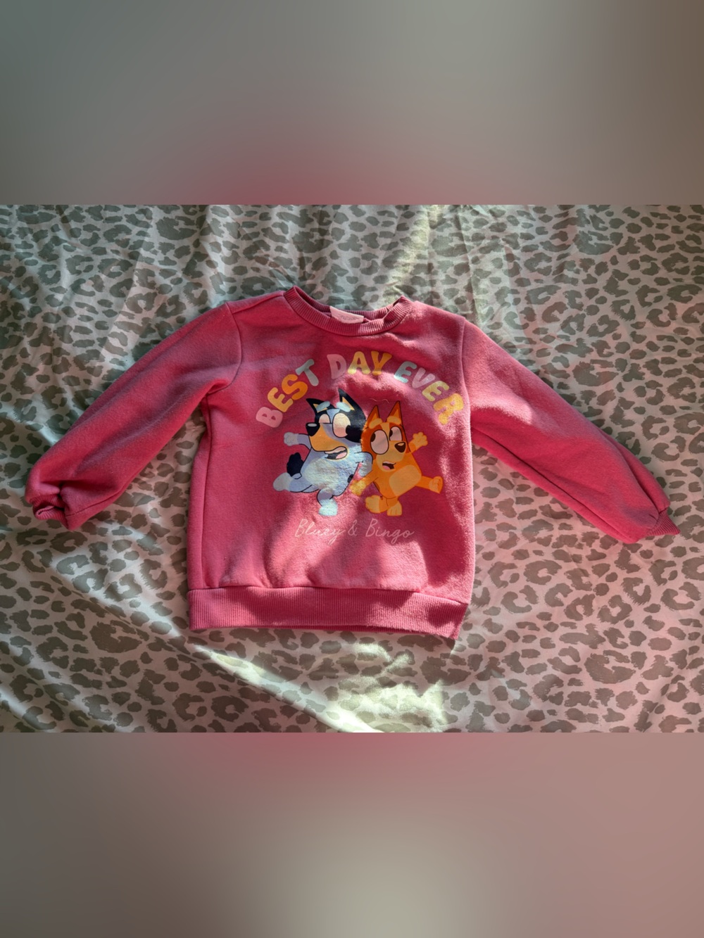 Pink 'Best Day Ever' Kids Sweatshirt with Bluey & Bingo Graphic
